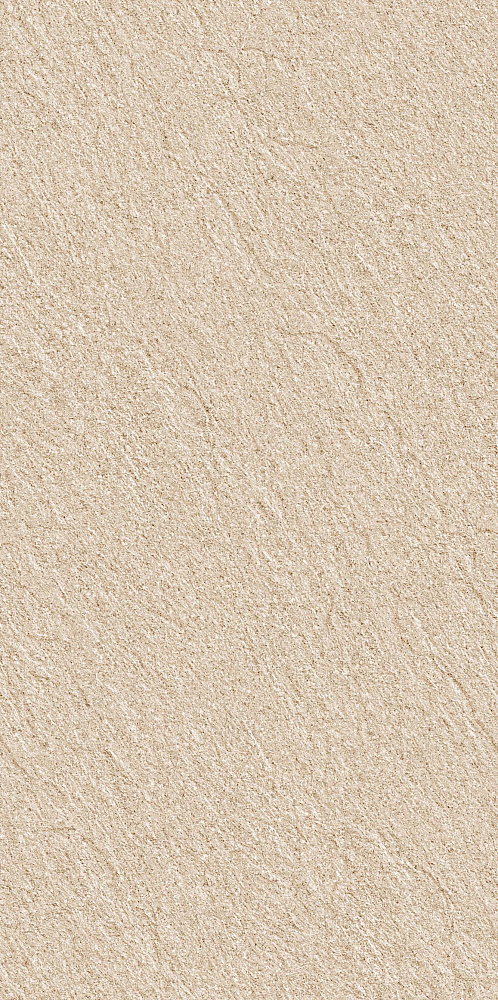 BHM-5003 Sandstone Beige mould-grain 60x120 Basconi Home