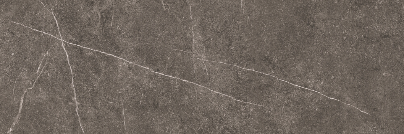 Shetland Dark Rectificado 33.3х100 Baldocer