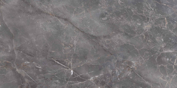 7170 Elite Grey Polished 60x120 Leopard