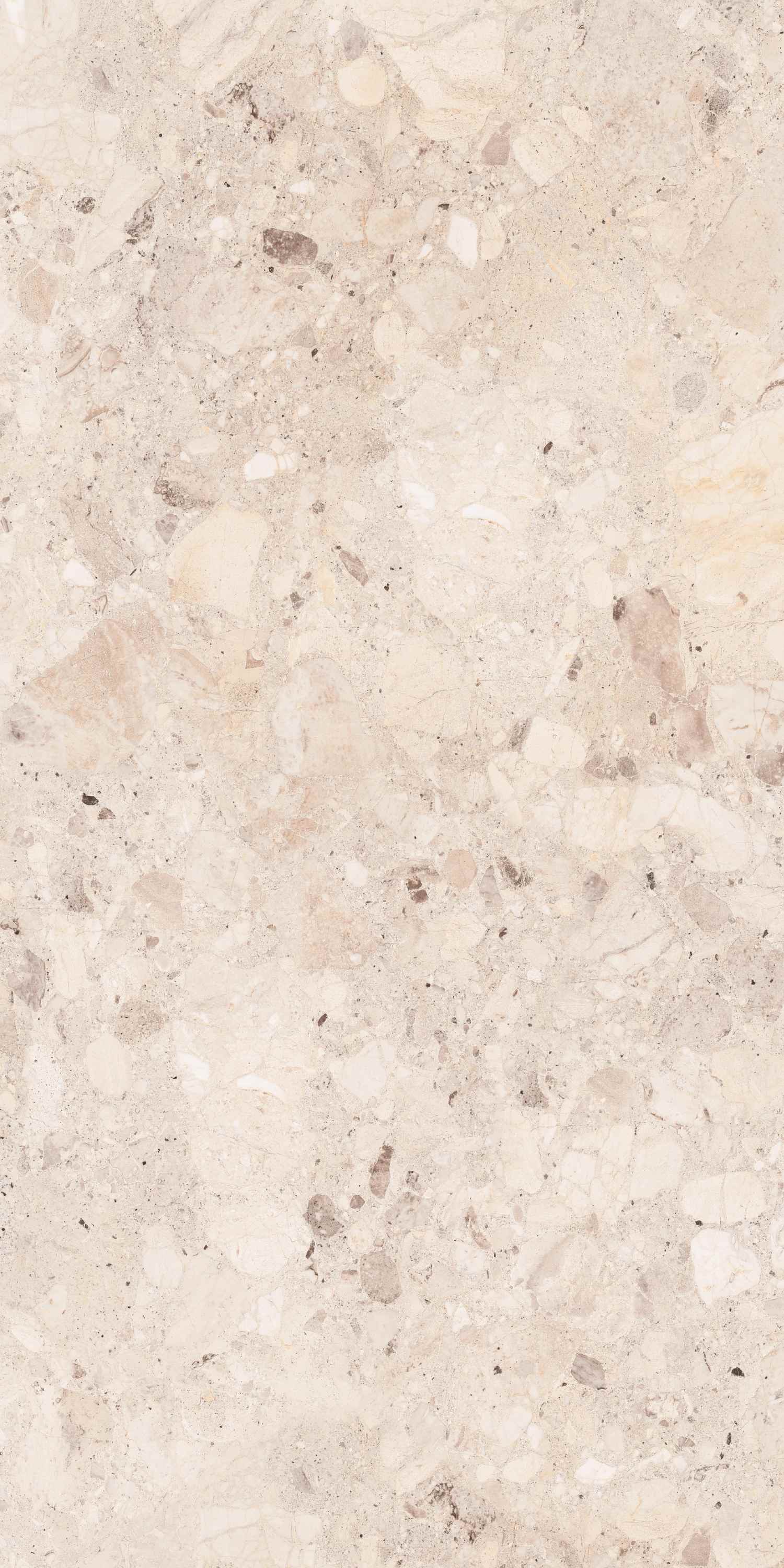 Clio Ivory Deck 60x120 BELLEZA фото 2