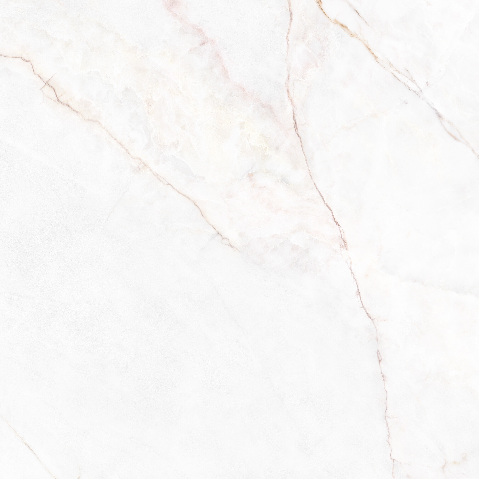 41431 Dahlia White SP/100X100X0,8/R 100x100 Peronda фото 20