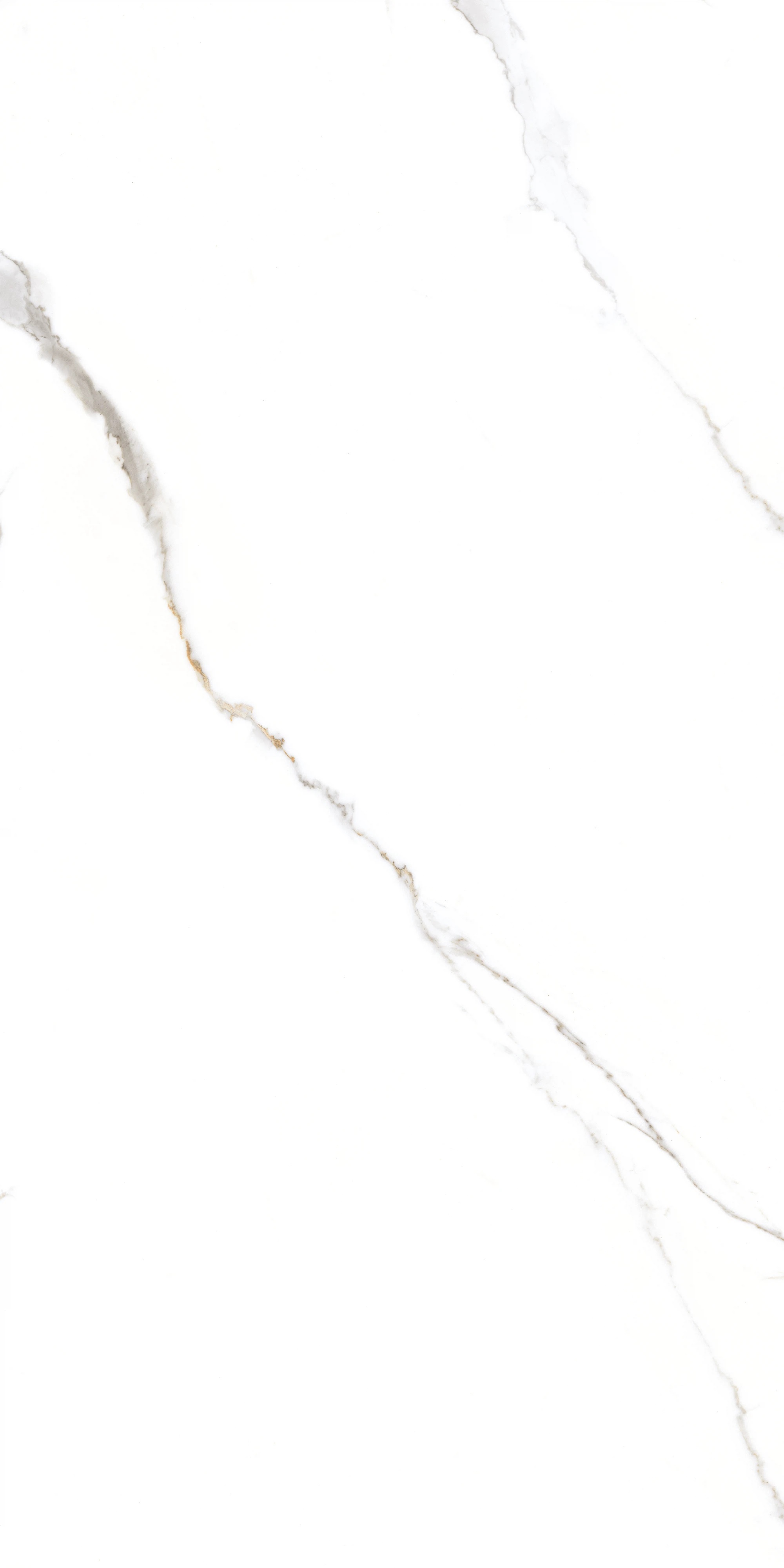 GT1206015103PR Corus Белый полированный 60x120 Global Tile