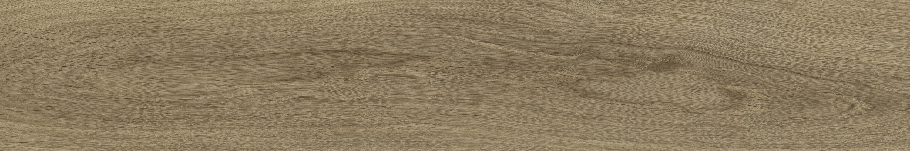 WD106 Branch Taupe 20x120 PrimaVera