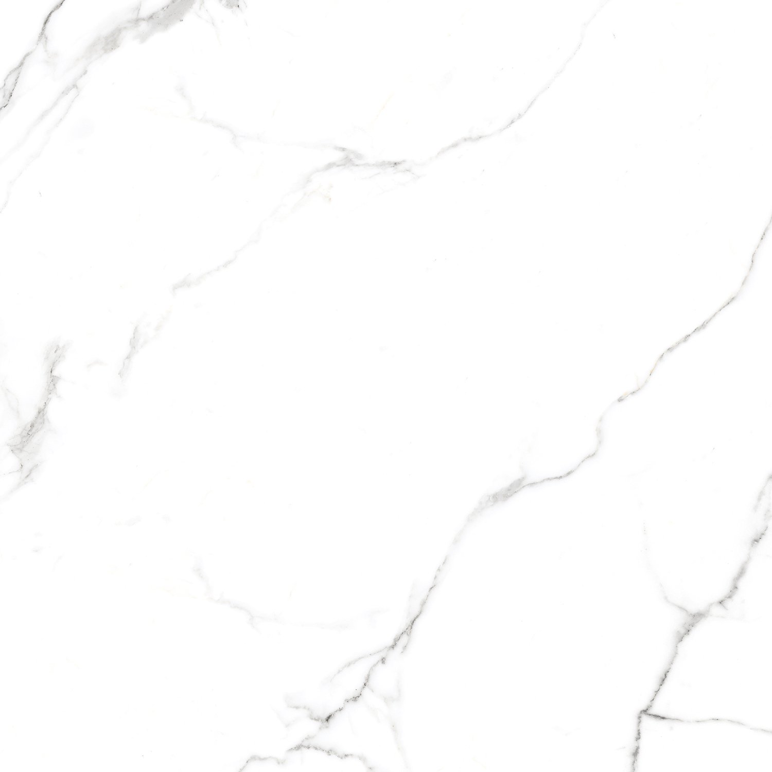 Сlassic Statuario PGVT 60x60 Casati Ceramica