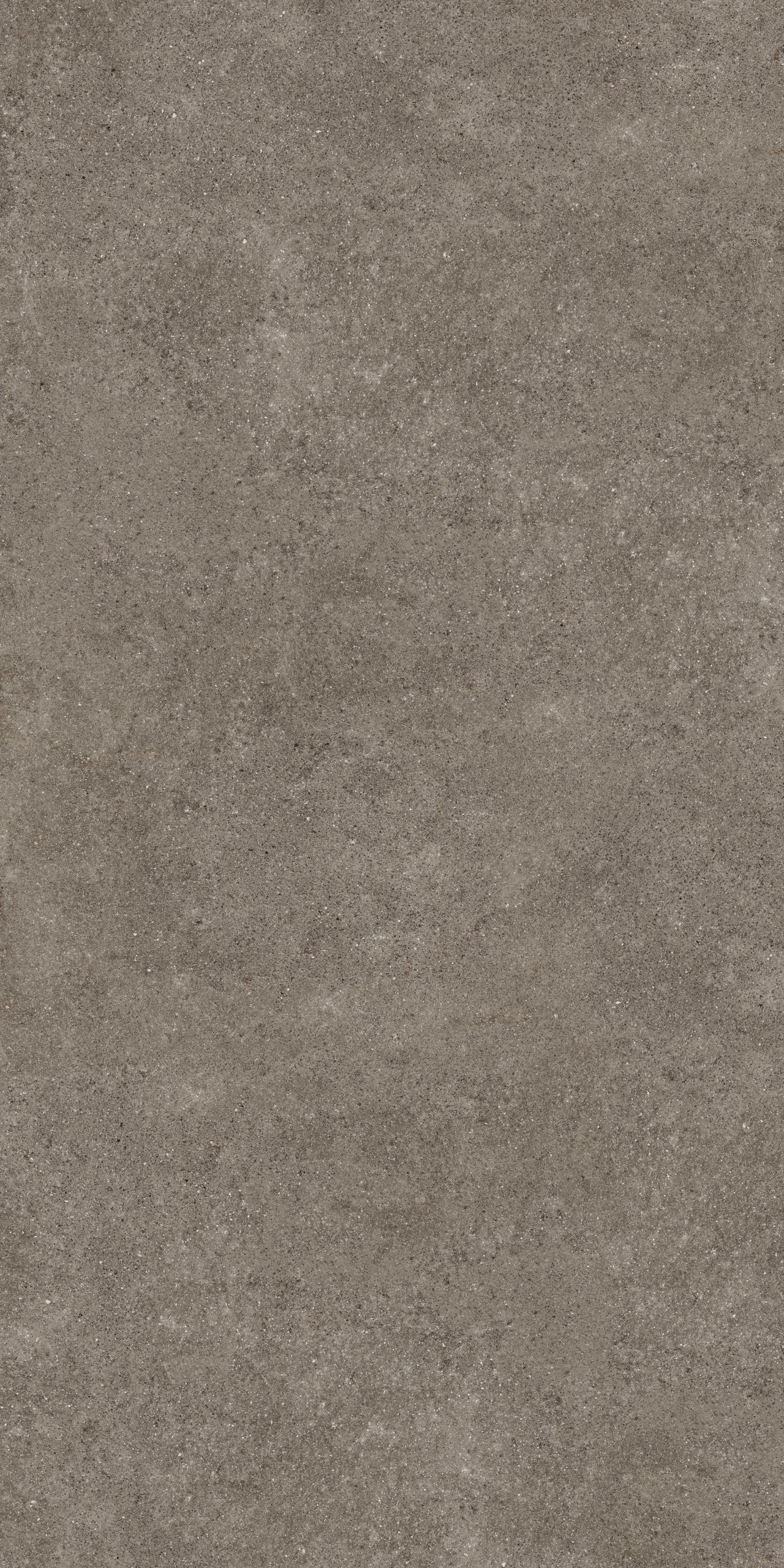 80PF24E Porfido Brown 5.6mm 60x120 Grespania