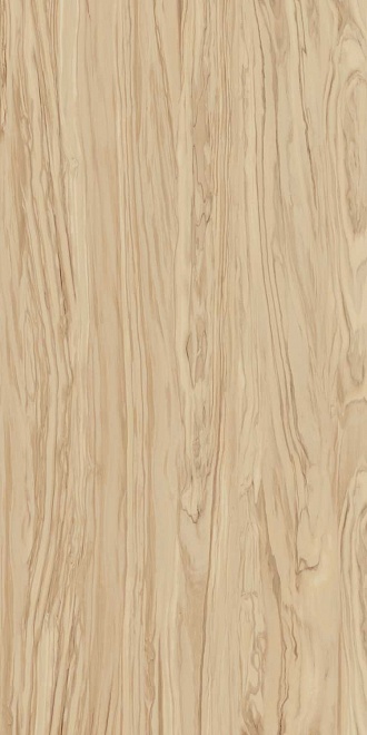 SG565220R Олива бежевый обрезной 60*119.5 Kerama Marazzi