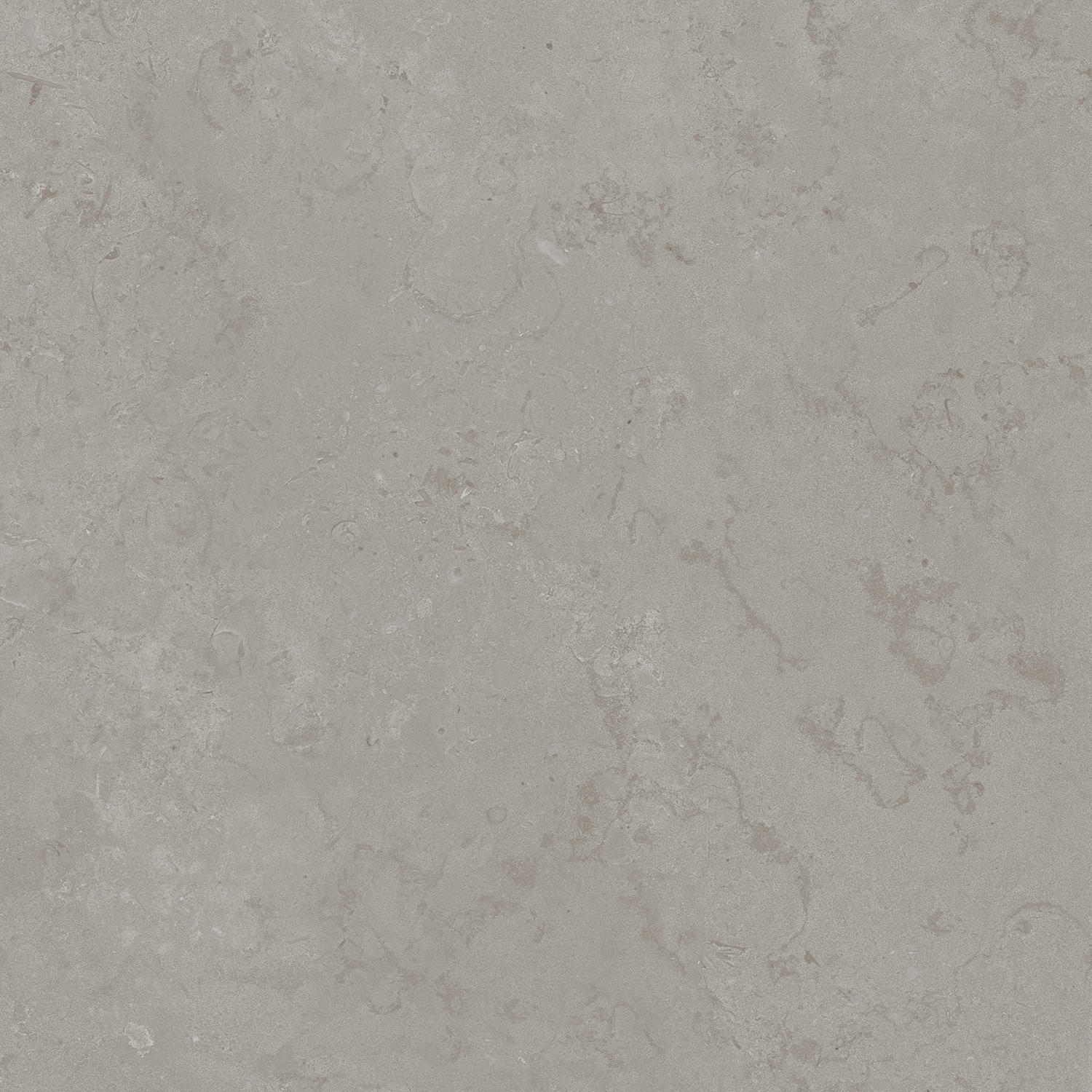 DD640900R Про Лаймстоун серый натуральный обрезной R10 60х60 Kerama Marazzi