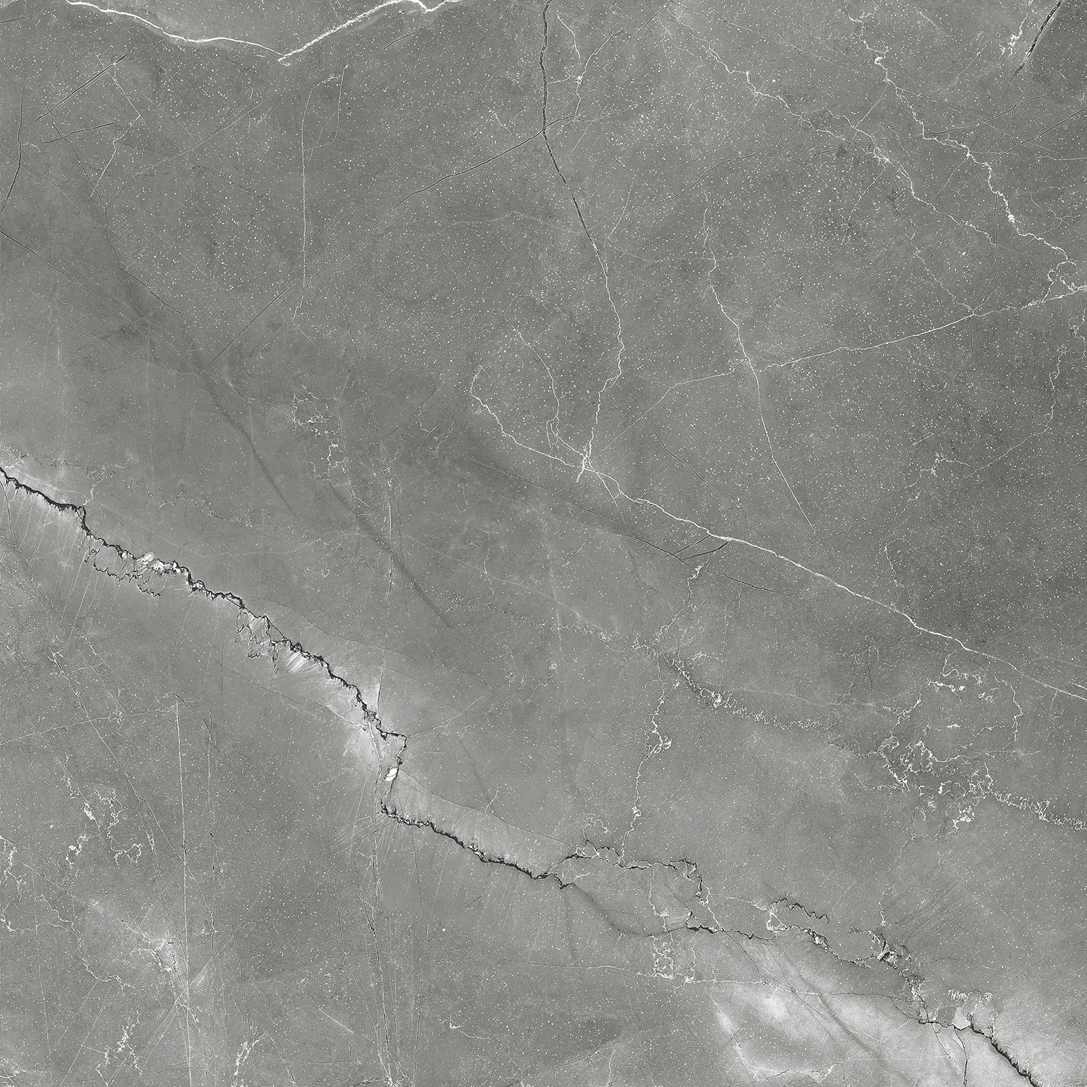 CR6011-A Pulpis Nero Carving 60x60 Arcadia Ceramica фото 11