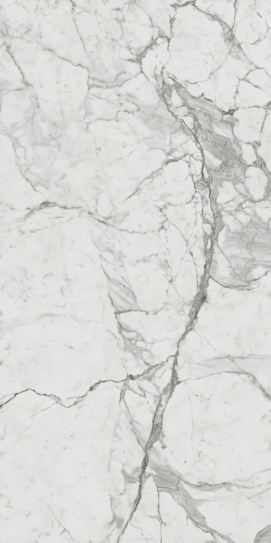 610010001410 Charme Evo Statuario Nat Ret 60х120 Italon