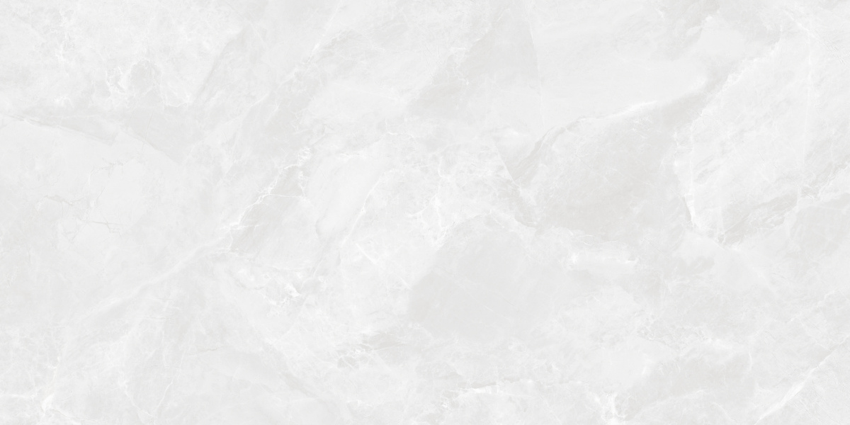CR6012G0401R Regnum Bianco светло-серый матовый 59,5х119,1 Ceradim