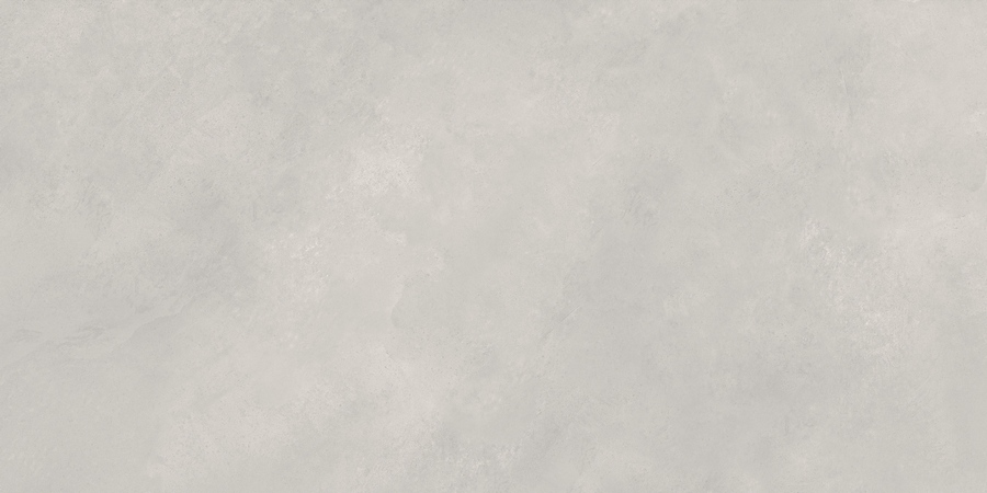 N20478 Newport Gris Matt 60x120 Neodom