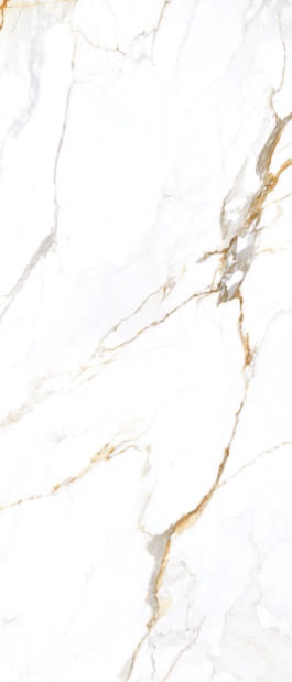 Apollo White Polish 120х280 Maimoon Ceramica