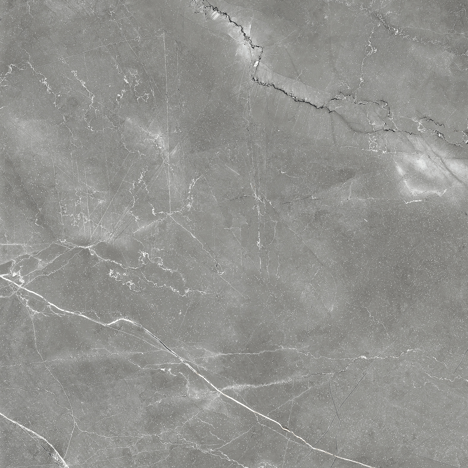 CR6011-A Pulpis Nero Carving 60x60 Arcadia Ceramica фото 9