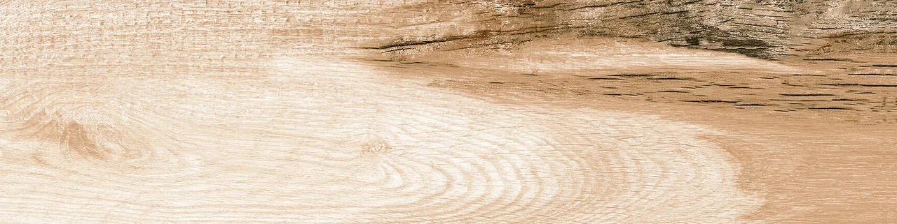 0054 PHOENIX 60х15х08 Eurotile Ceramica