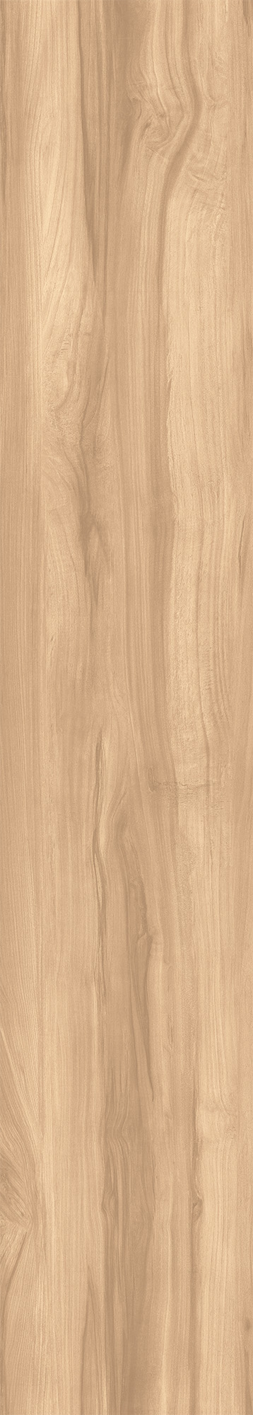 CW-RT09-B Fossil Wood Brich Rustic 20x120 Creanza