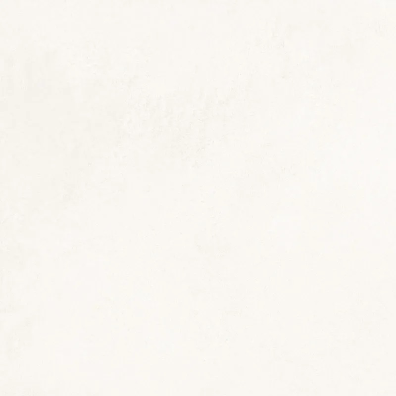 DL0H00M01 Delishn white 60х60 Creto