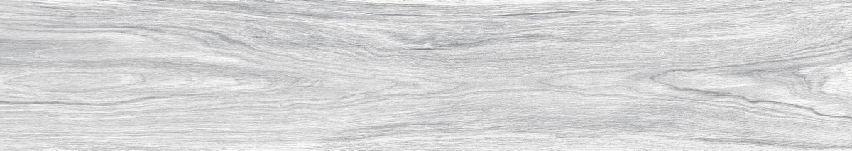 ENWD1024MT20120 Foresta Bianco Matt 120x20x0.9 Ennface