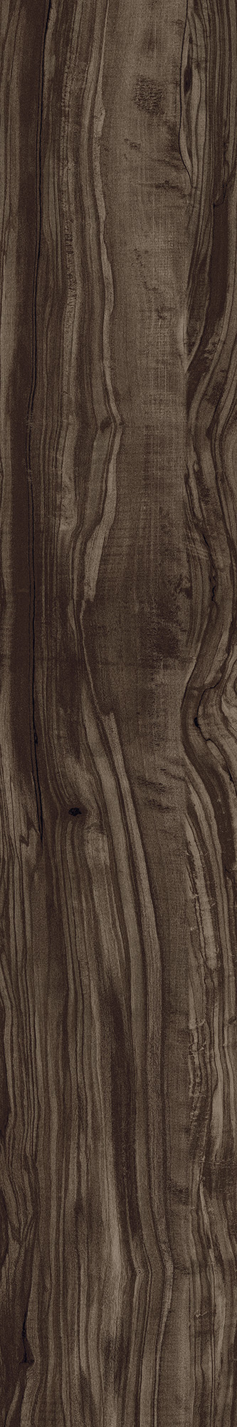 CW-CR01-B Pearsian Wood Charcoal Carving 20x120 Creanza