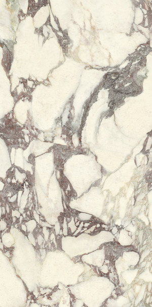PL612671 Calacatta Viola Luc 60x120 Ariostea