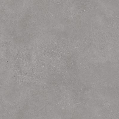 DAK81791 Betonico grey R10 80x80 RAKO
