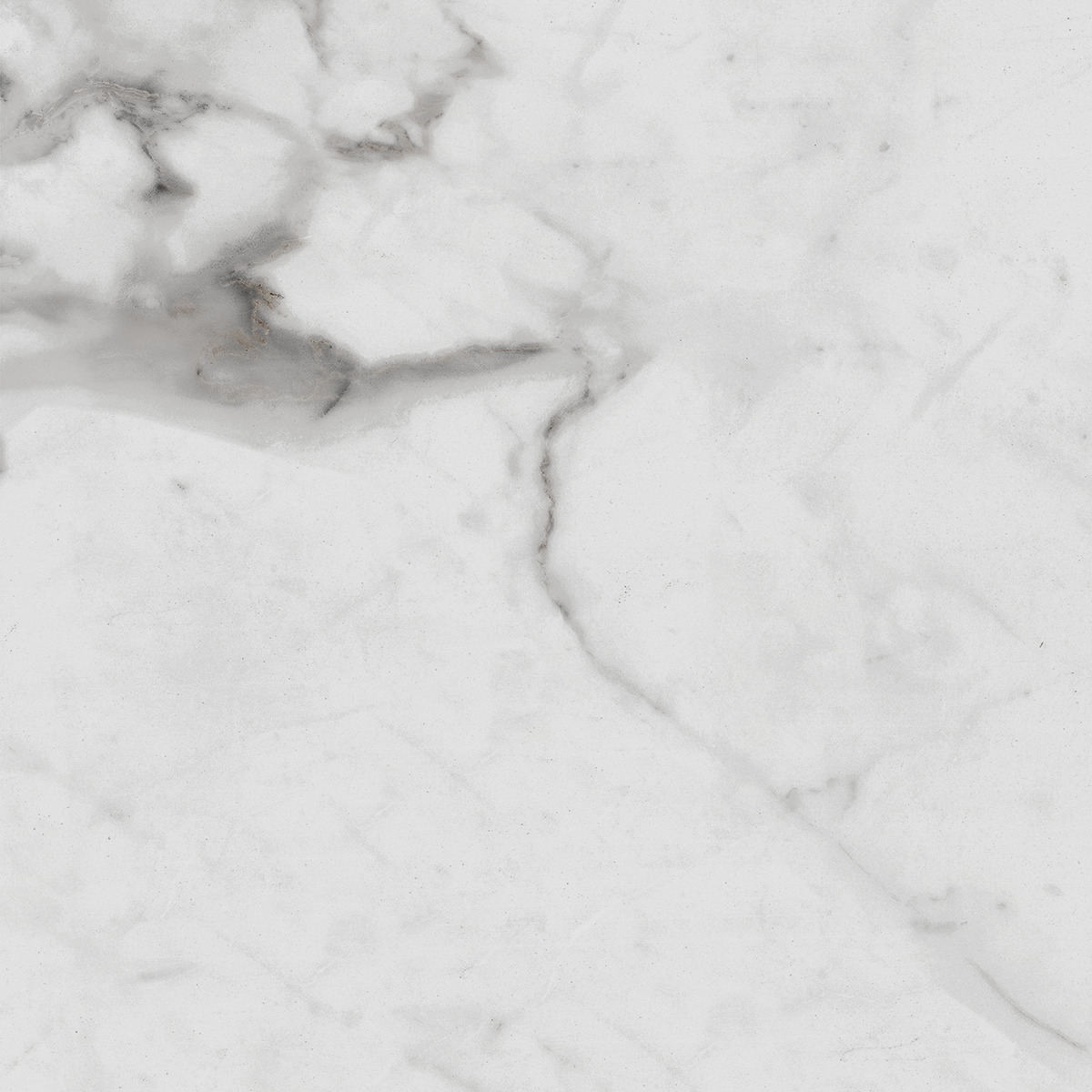 R_PR1005 Carrara Betria Polished 60x60 Royce