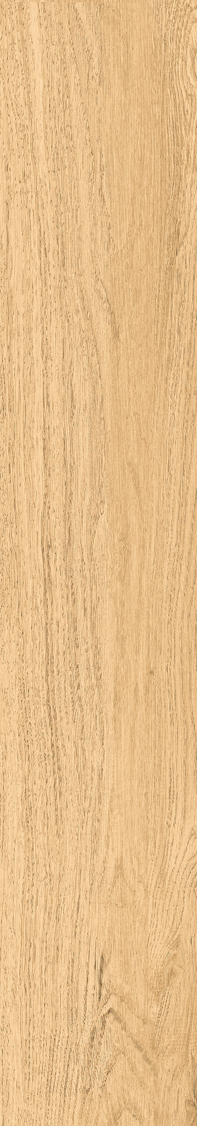 1108 Modena Honey Mate 120x20 Artcer