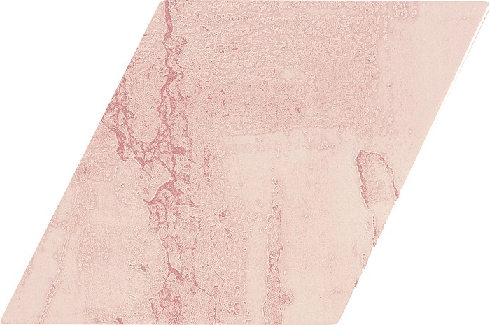 ROMBO SNAP PINK 15X29,5 Ape Ceramica