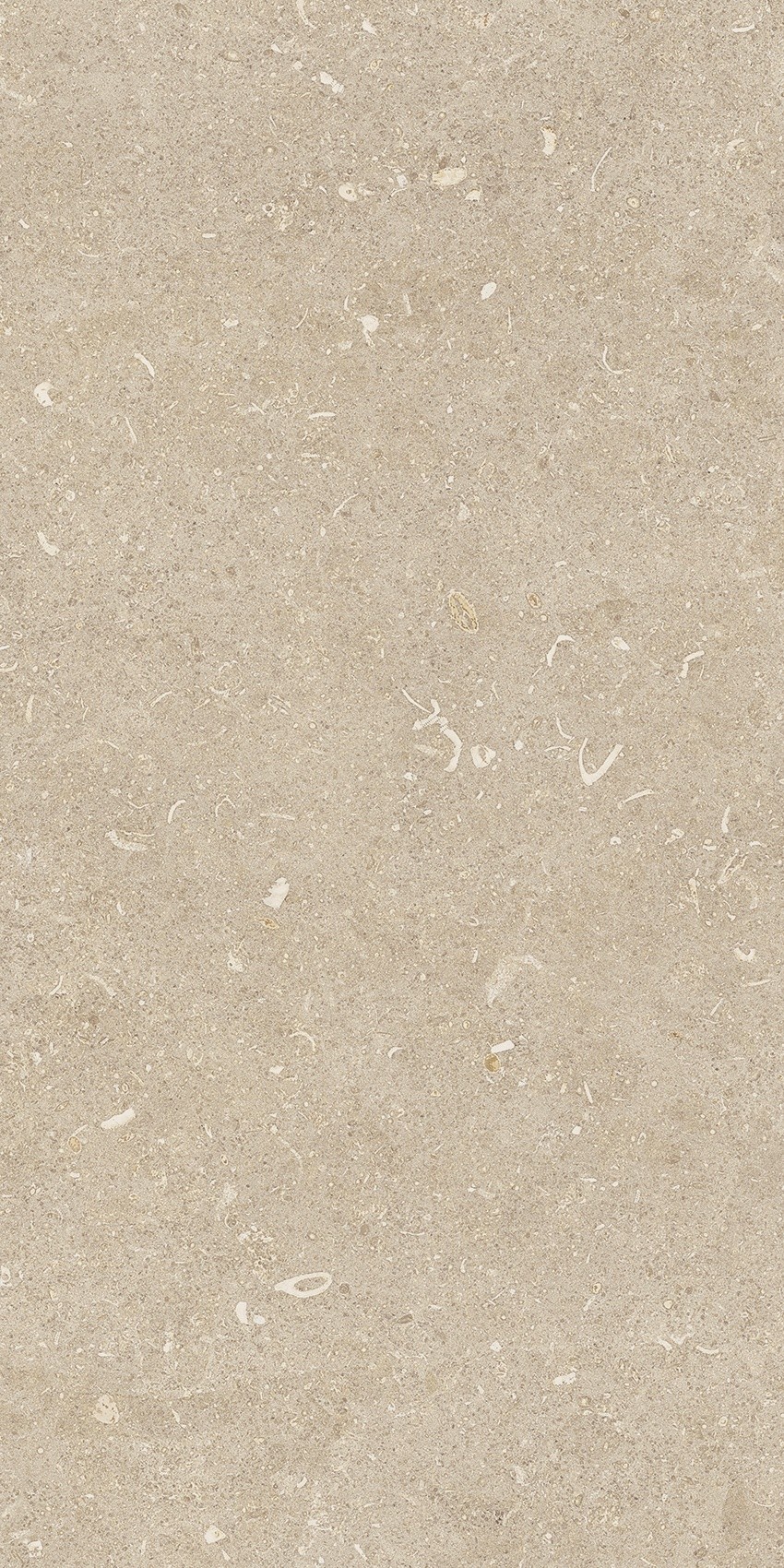 785489 Rinascenza Arena Conchiglia Matte 30x60 Casa Dolce Casa фото 7