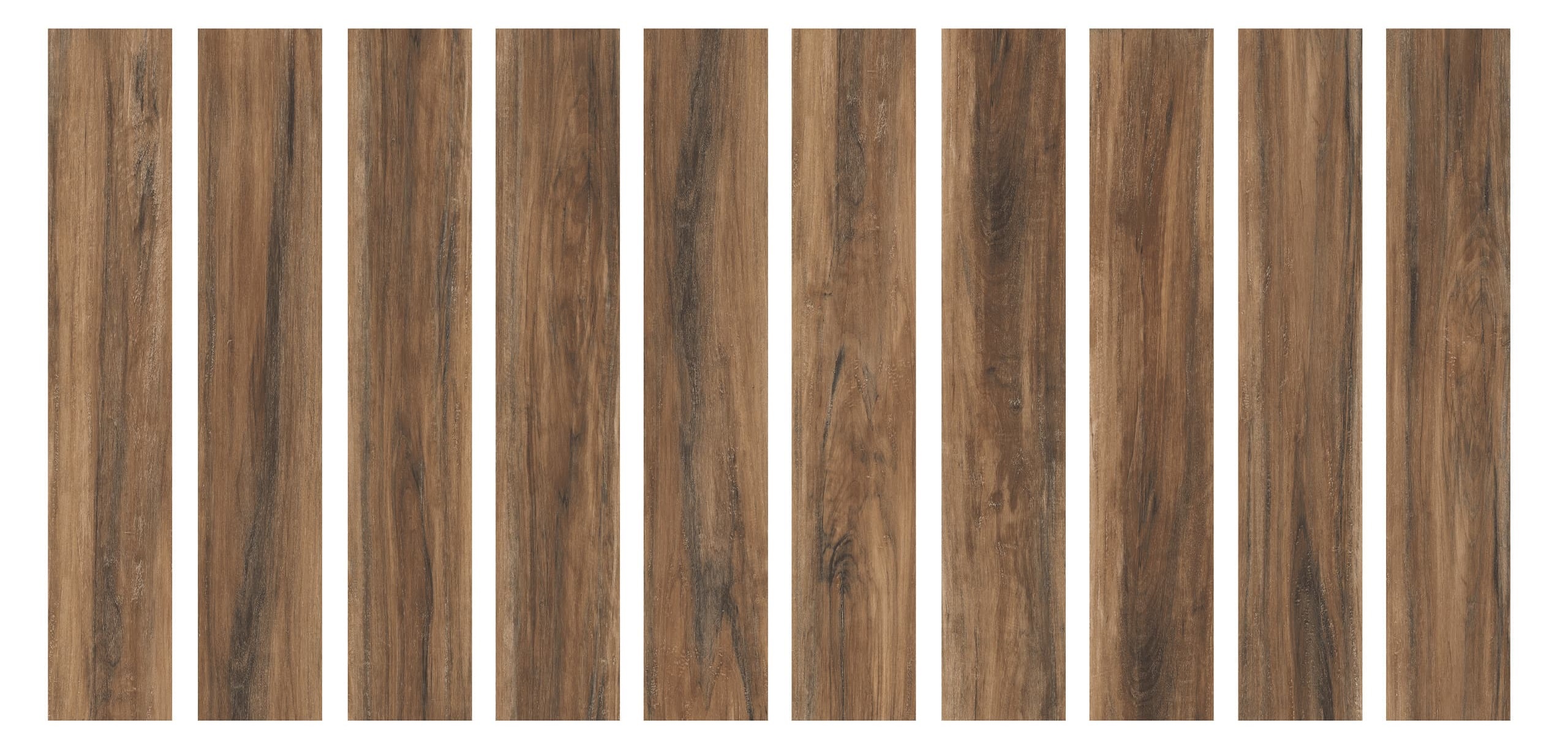 Terra Realistik