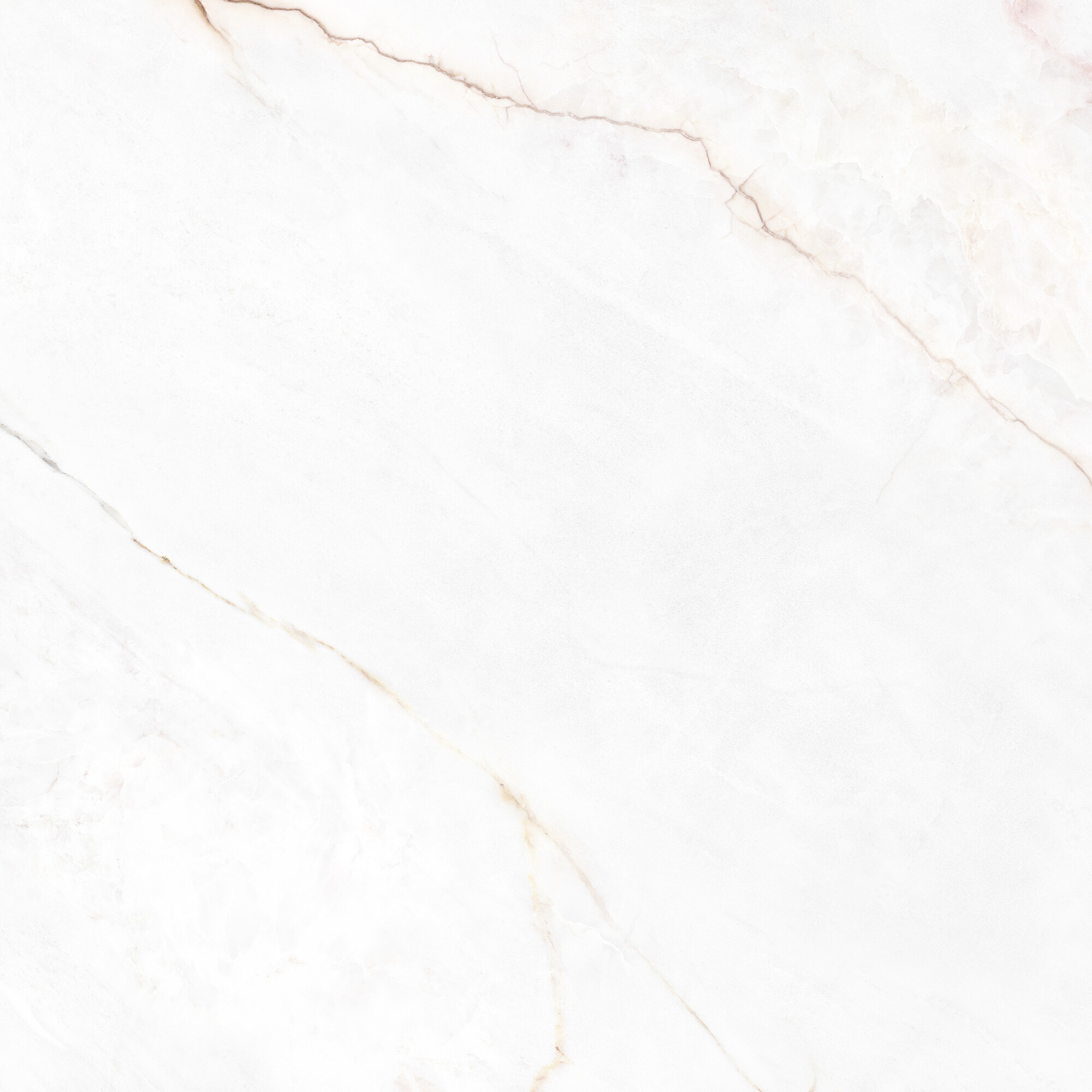 41431 Dahlia White SP/100X100X0,8/R 100x100 Peronda фото 11