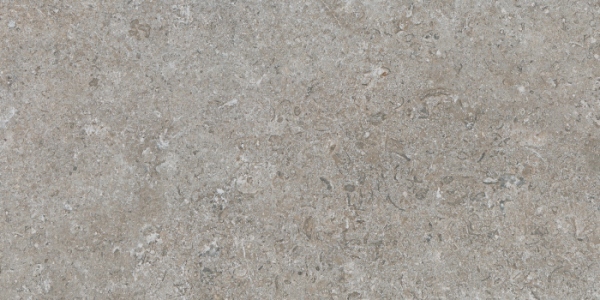 Etienne Nut RC 30x60 Argenta Ceramica