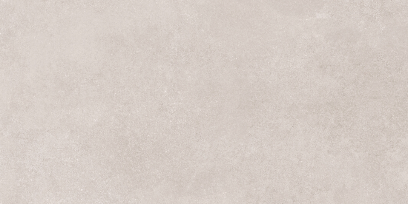 17533 Still светло-серый ректификат 60x120 Meissen