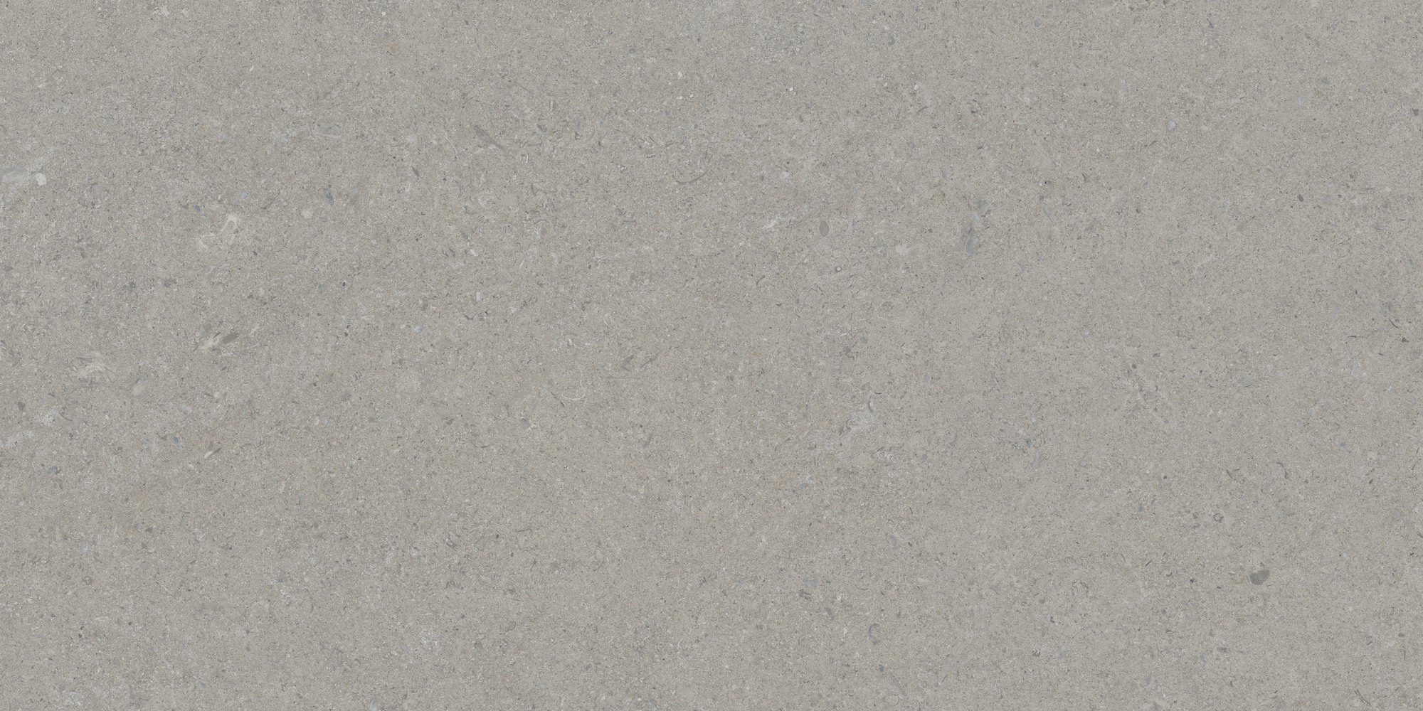 Calcare Silver 60x120 TAU Ceramica фото 6