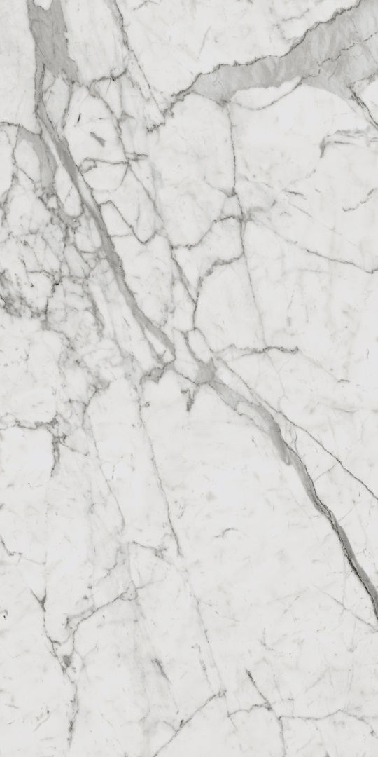 610010001410 Charme Evo Statuario Nat Ret 60х120 Italon