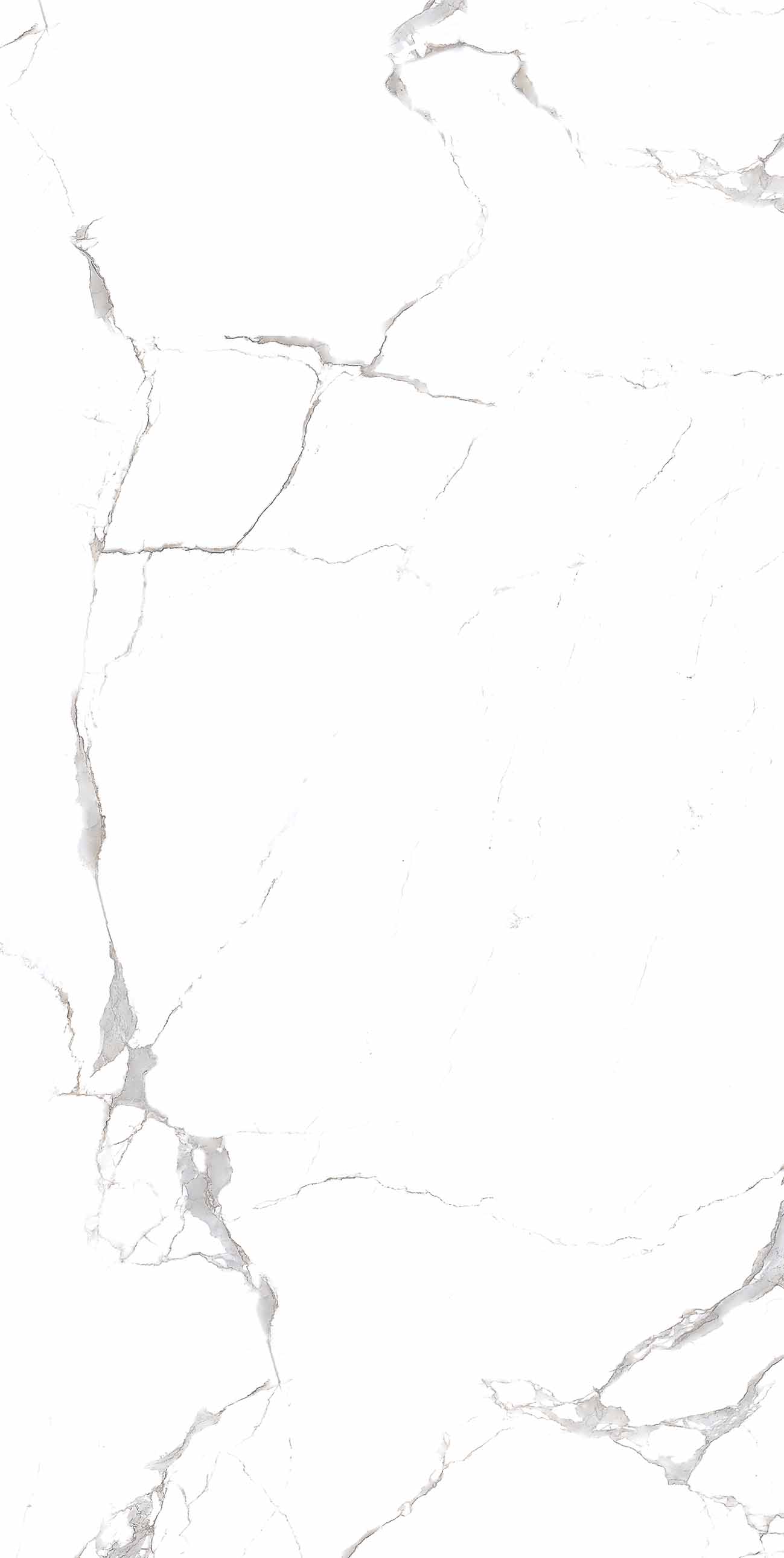 Emmy White polished 60x120 Realistik
