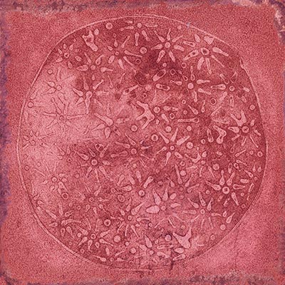 Carlo Granate-B 20x20 VIVES