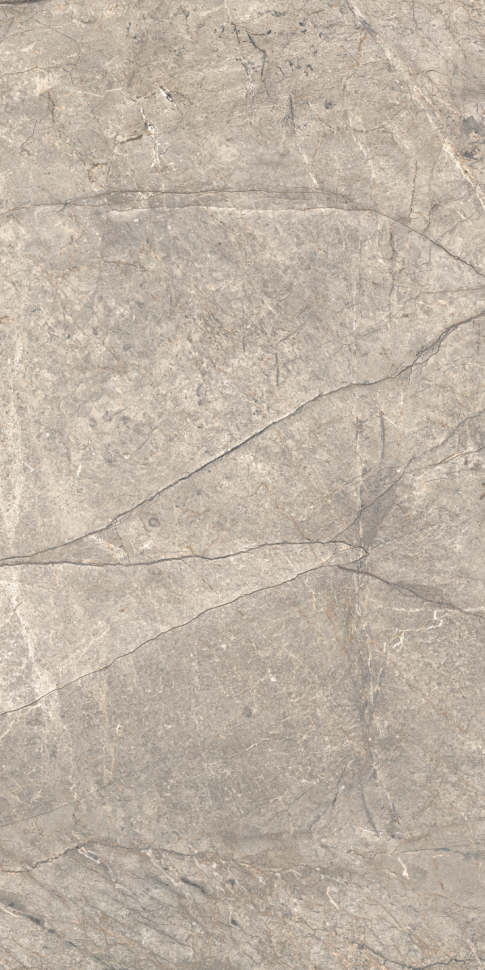 AIAV Amazing Silver Liscio Matt 60x120 Caesar фото 8