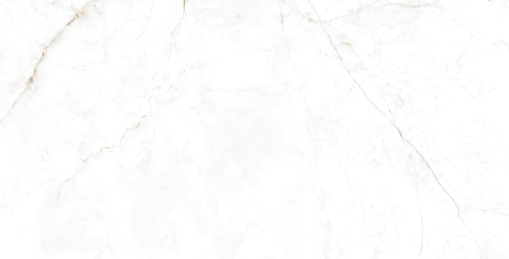 31742 Dual White/75,5X151/EP 75,5x151 Peronda фото 6