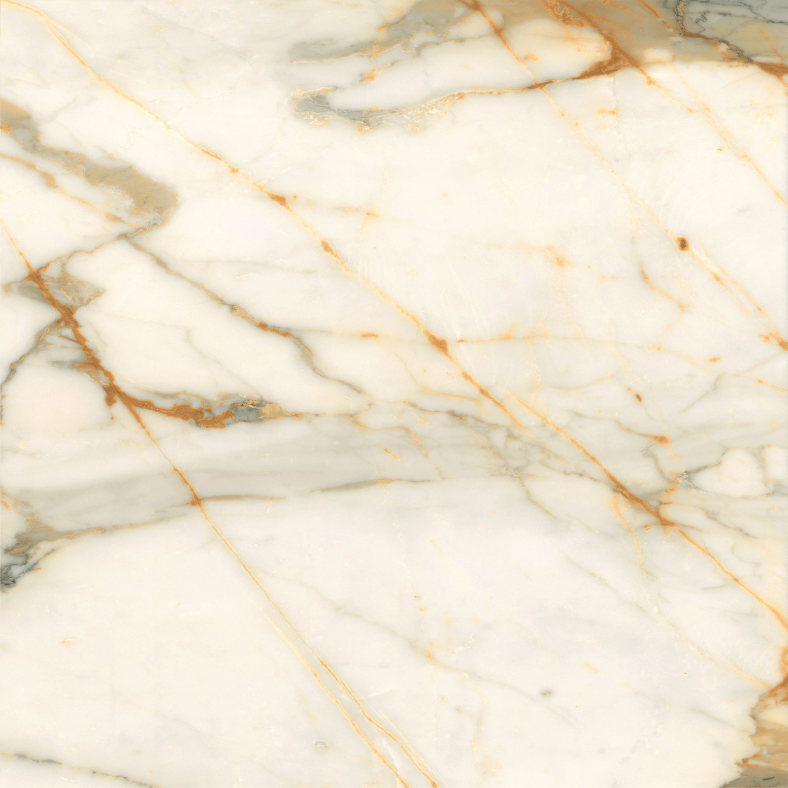 6060CBO55P Calacatta Borghini 60x60 LCM