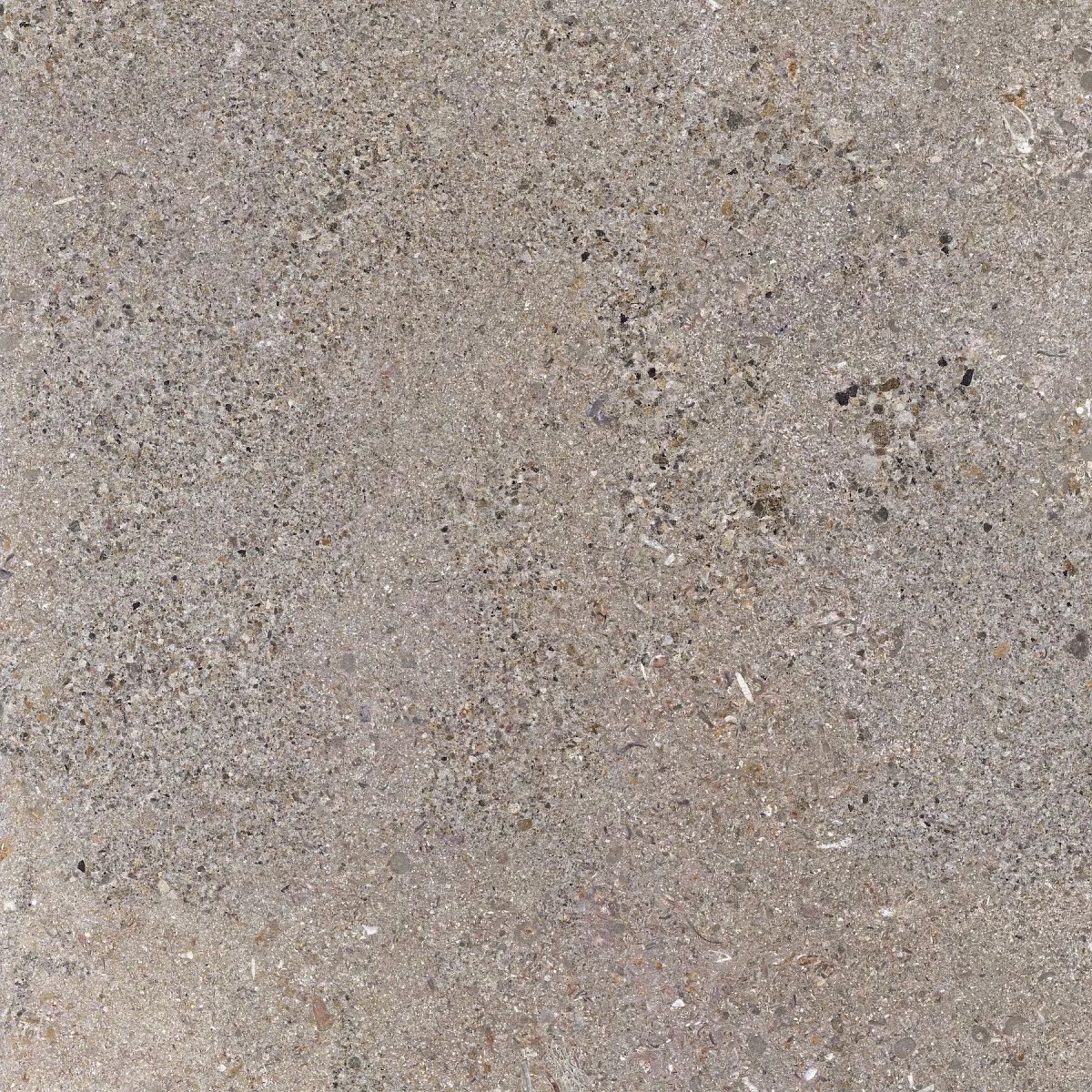 Terra Silver 60x60 Prime Ceramics