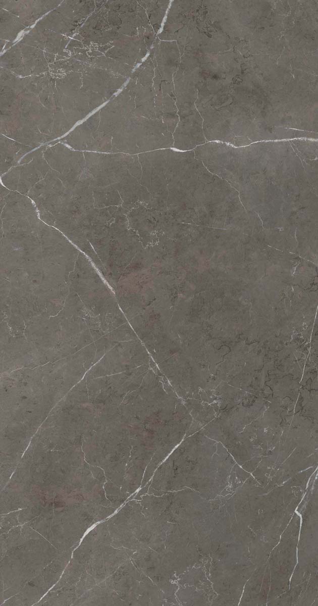 PF60006313 Stone Grey Lux R 60x120 ABK фото 3