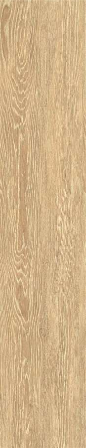ZC 1023058 rect.. 20x100 Bonaparte