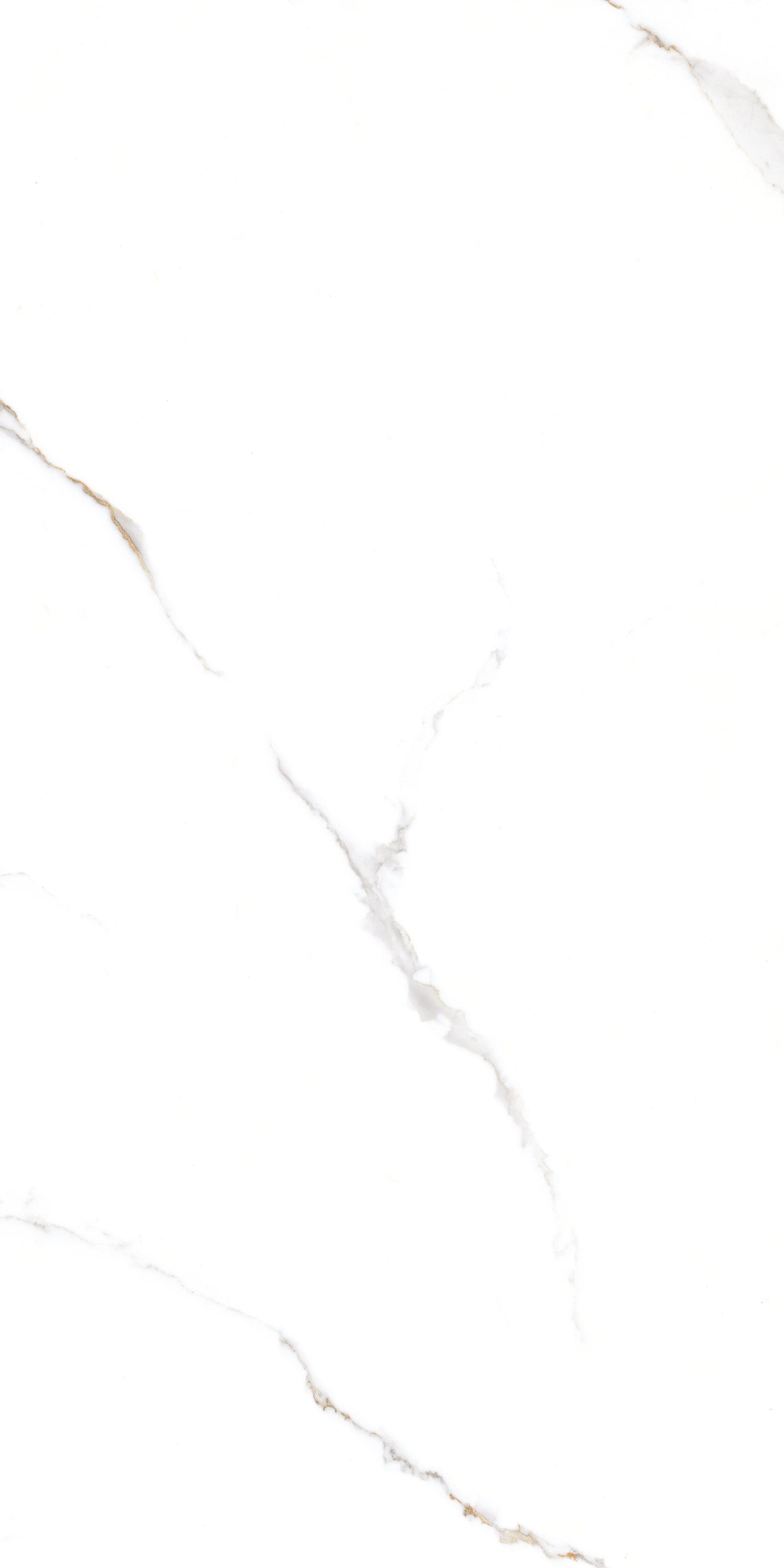 GT1206015103PR Corus Белый полированный 60x120 Global Tile