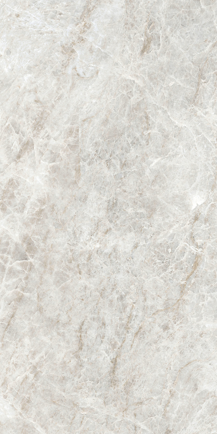 784553 Iconic Life Rice Yamuna Glossy 30x60 Cerim фото 6