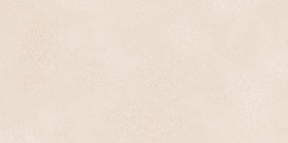 AVS-102 Avanti Beige Grain 600x1200 AVS фото 5