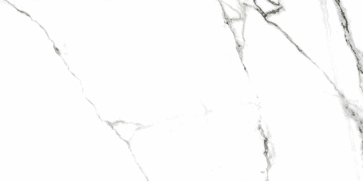 G390 Neiva White MR 60x120 Гранитея