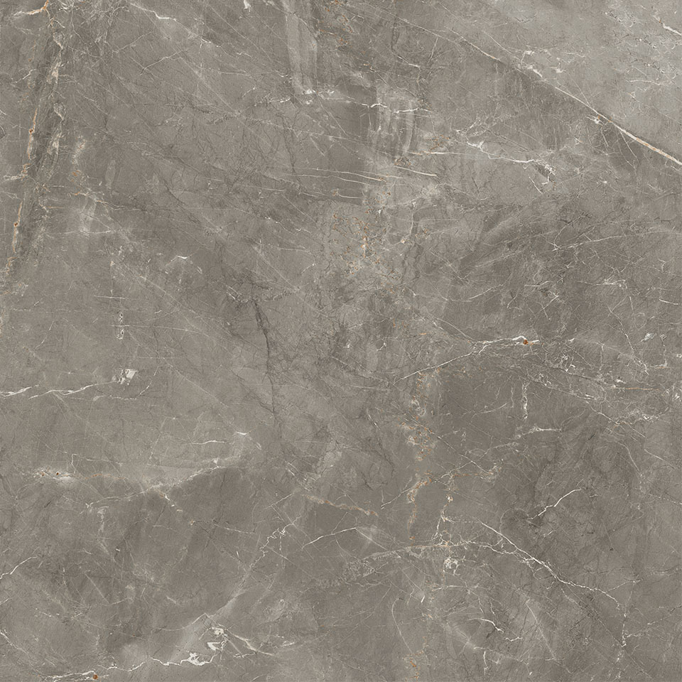 83336 Sybil Silver Rettificato 60x60 Cerdomus фото 2
