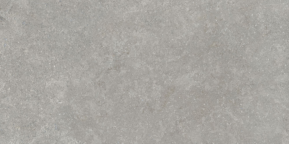 SandStone Серый Матовый R10A Ректификат 9мм 60х120 Vitra