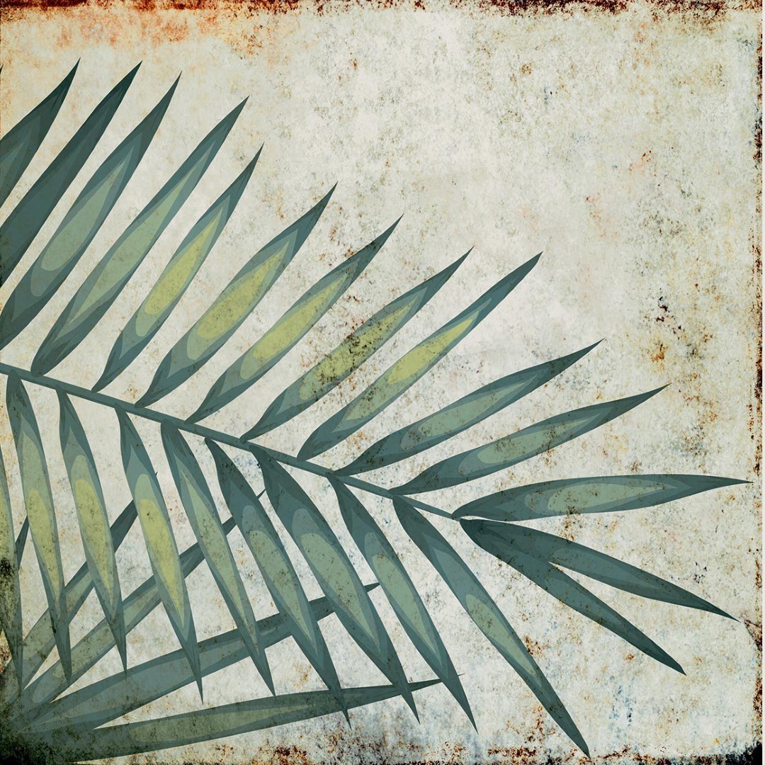 TR3333 Tropic 33х33 Serapool фото 20