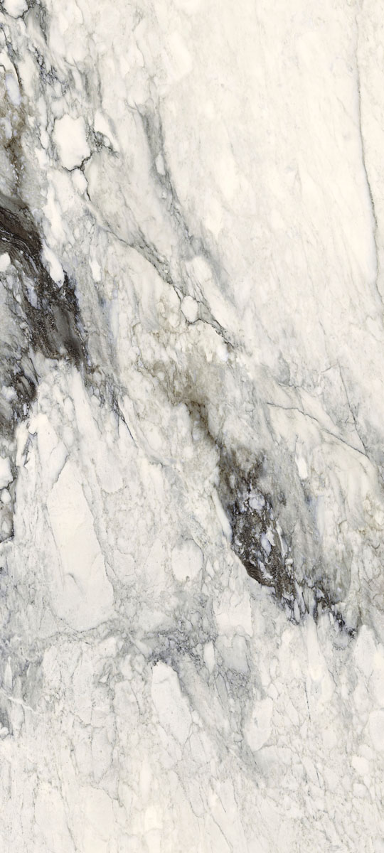 761723 Etoile Renoir Mat Ret 120x280 Rex Ceramiche